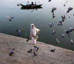 Seorang Pria dan Kumpulan Merpati