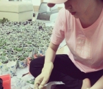 Tanaman Lucu Spesial dari Sunny