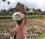 Foto Jepretan Marsha Saat Berbulan Madu