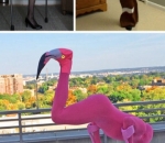 Cosplay Bangau dan Kue Jahe