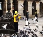 Bersama Sekumpulan Merpati