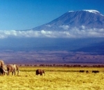 Salju di Puncak Kilimanjaro