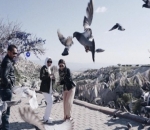 Bermain dengan Merpati Turki