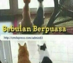 Perubahan Setelah Lebar(an)