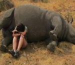 Menangisi Seekor Badak yang Mati