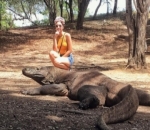 Mengunjungi Pulau Komodo