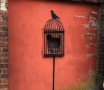 Jendela Jadi Sangkar Burung