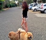 Kangen dengan Peliharaannya