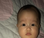  Cimbot dengan Ekspresi Datar