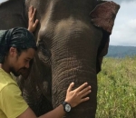  Harapan Chico di Hari Gajah Sedunia