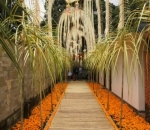 Moreno Soeprapto Adakan Hiburan Berkonsep Bali