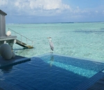 'Tamu' Tak Diundang di Villa Raisa