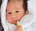 Baby Zayn Buat Netter Terpana