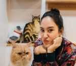  'Ngopi' di Kafe Kucing