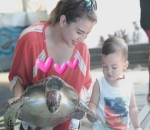 Senangnya Kanaka Elus-Elus Penyu