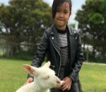 Melihat dan Mengelus Kanguru