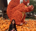 Jalan-Jalan ke Jucker Farm