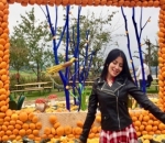 Binatang Ternak di Jucker Farm