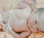 Lucu dan Menggemaskan