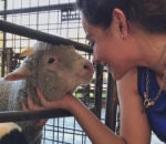 Melihat Binatang Lucu