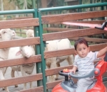 Lucunya Baby Bambang