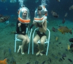 Berenang dengan Ikan