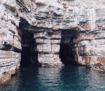 Menjadi Nature Photographer