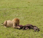 Menginap di Hotel Unik