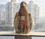 Inikah yang Dimaksud 'Elang Jaman Now'?