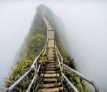 Tangga Haiku, Penuh Resiko dengan Pemandangan Menakjubkan