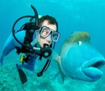 Ikan Kaget Melihat Penyelam