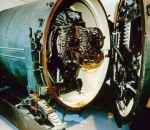 Chicken Nuclear Weapons