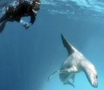 Kill-proof Human Soldiers