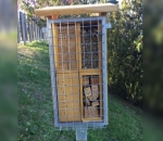 Bangunan Aneh Apa Ini?