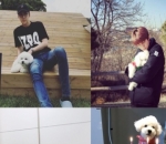 Vivi, Anjing Sehun yang Bak Salju 