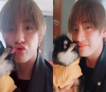 Anjing Mungil Milik V BTS