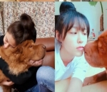 Seolhyun Punya Anjing Besar