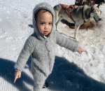 Tak Takut Foto dengan Anjing Besar