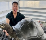 Kura-kura dan Irfan Hakim