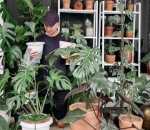Juga Mengoleksi Tanaman Di Rumah