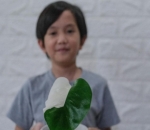 Saga Gemar Merawat Tanaman 