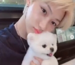 <i>Puppy Eyes</i> Ala Felix