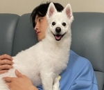 Kim Do Wan Sosok Penyayang Binatang