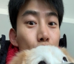 Punya Anjing Kesayangan