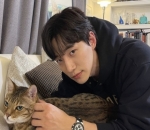 Gemas Bareng Kucing Imut