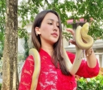 Bikin Kagum Berani Pegang Ular