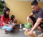 Pecinta Kucing