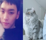 Miliki Kesukaan Yg Sama Dengan Park Shin Hye