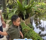 Kesal Saat Ikan Tak Muncul di Kolam