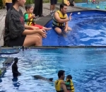 Pengalaman dengan Lumba-Lumba